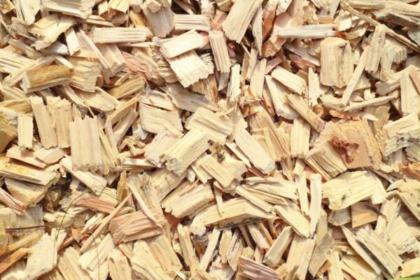 Wood Chips pp